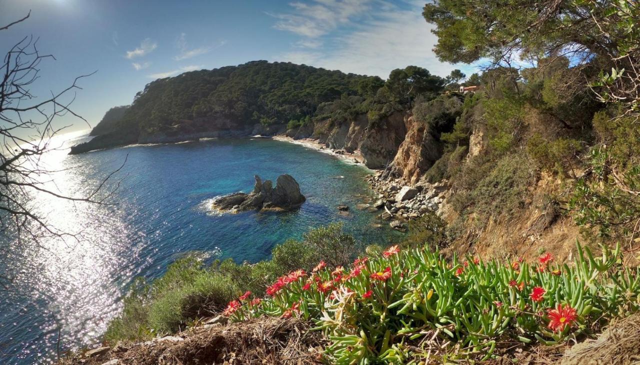 Studio Residence Bona, Vue Hippodrome Et Mer, Clim Ιέρ Εξωτερικό φωτογραφία